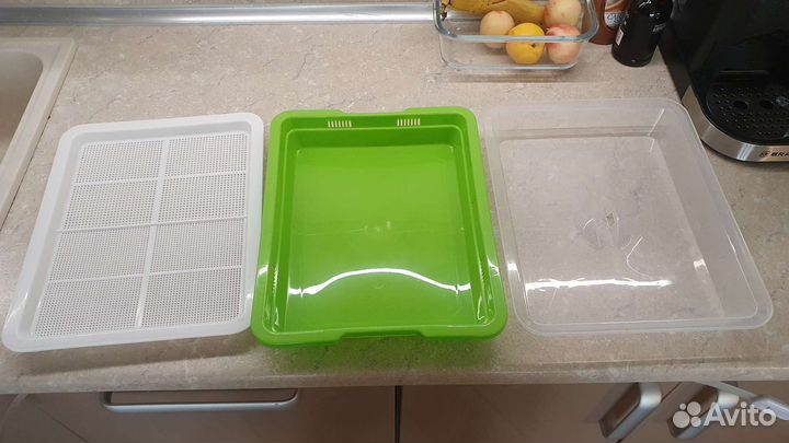 Лоток для выращивания микрозелени 25 на 32