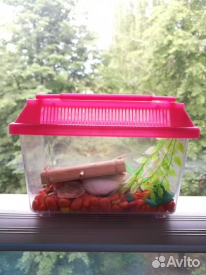 Террариум с аксессуарами