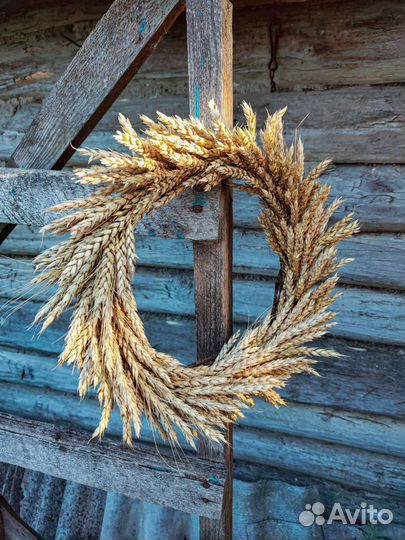 Венок из сухоцветов (пшеница)