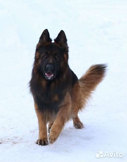 Открыт для вязок