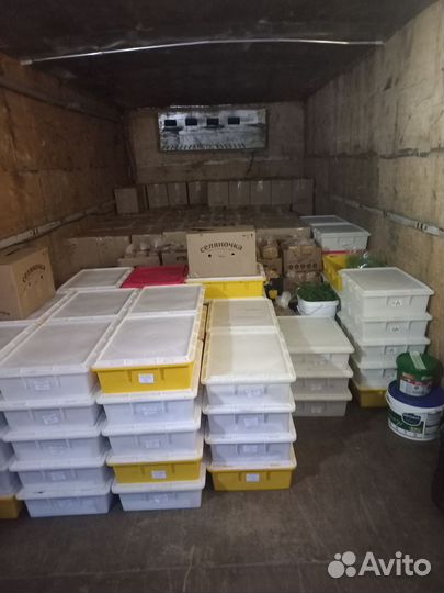 Грузоперевозки от 3 до 8метров,грузчики