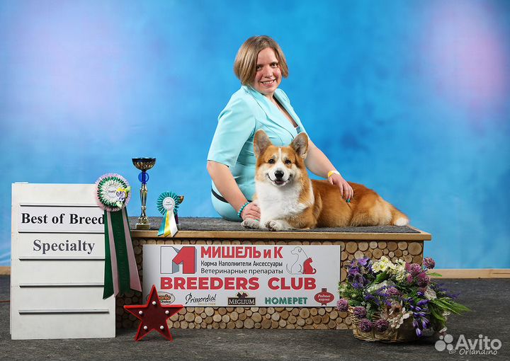 Услуги хендлера в Москве (зао)