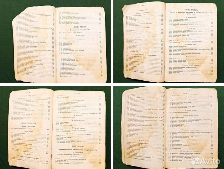 1874. Руководство к анатомии человеческого тела