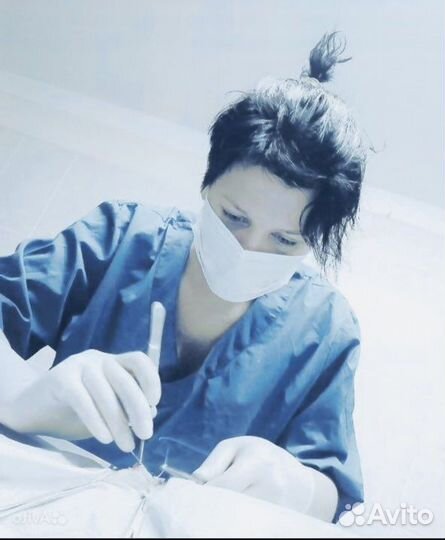 Ветеринарный врач на дом круглосуточно