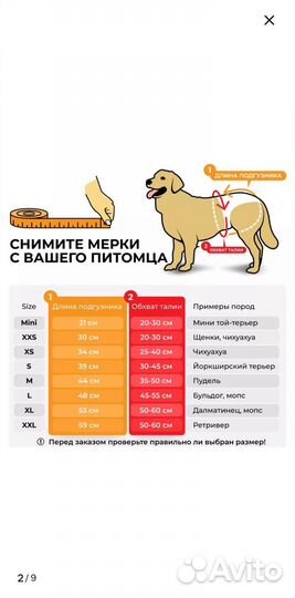 Подгузники для собак и кошек