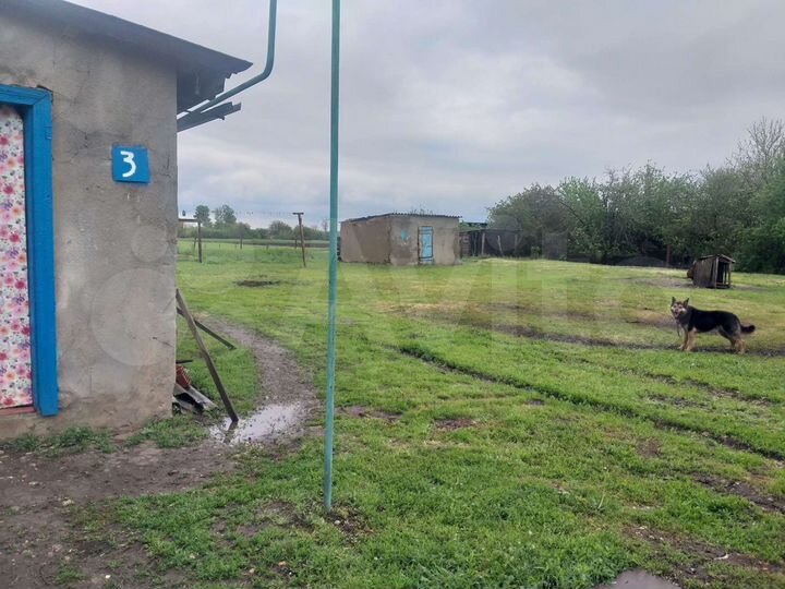 Дом 92 м² на участке 64 сот.