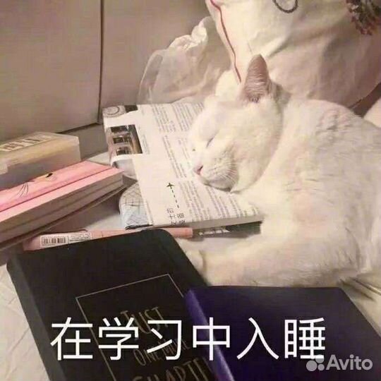 Репетитор по китайскому языку