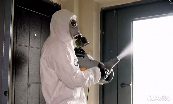 Средство для Уничтожения клопов тараканов плесени клещей