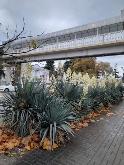 3-к. квартира, 66 м², 5/5 эт.