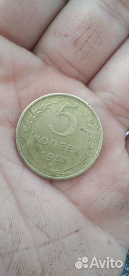 Монета 5 копеек 1953