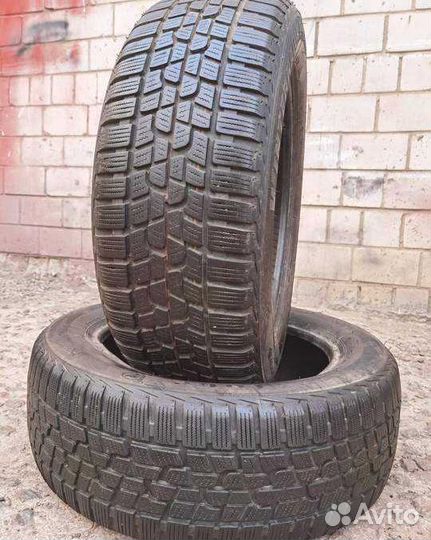 Firestone Winterhawk 2 Evo 205/55 R16 91H
