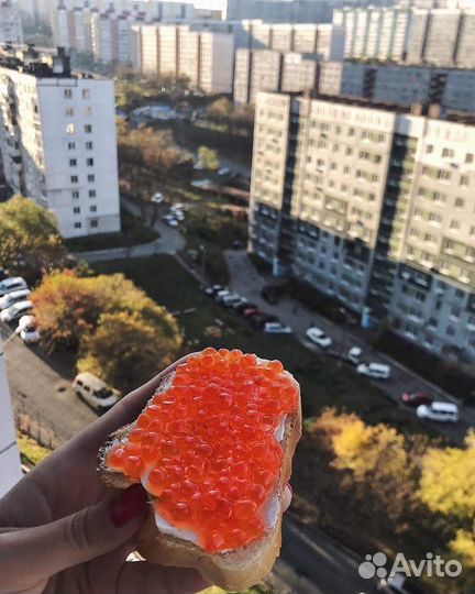 Икра красная