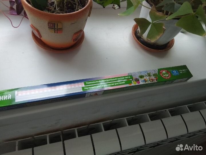 Фитосветильник для растений Uniel ULI-P12-10W