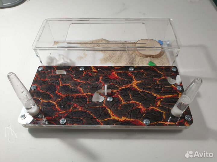 Муравьиная ферма