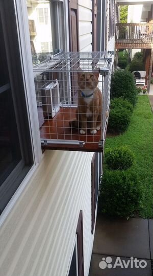 Балкончик для кошек/выгул