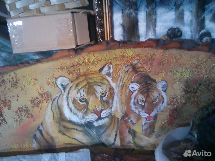 Тигры и,магниты,новосибир