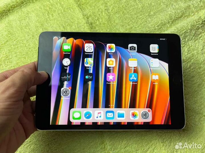 iPad mini cellular 16gb