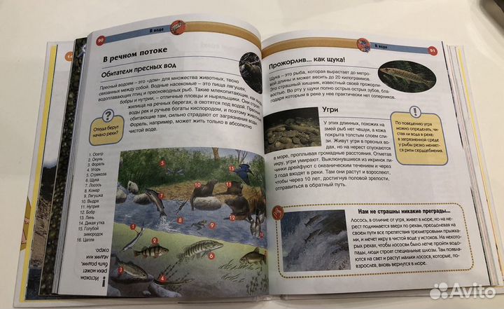 Современная детская энциклопедия