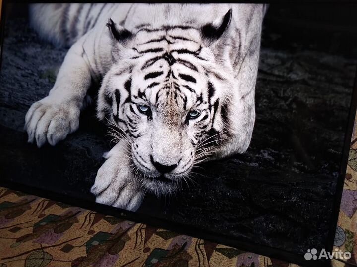 LG SMART. Большой 139см. 55д. 2019. Идеал.сост