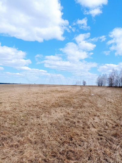 Участок 100 сот. (СНТ, ДНП)