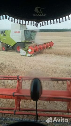 Уборка урожая комбайнами Claas Tucano 430