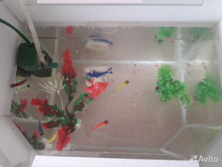 Аквариум