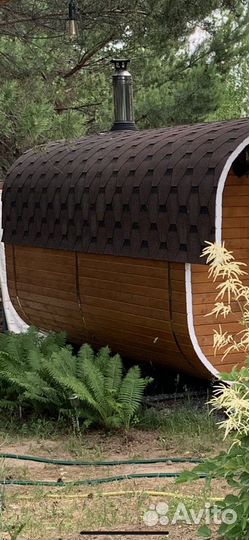 Многолетник Папоротник страусник