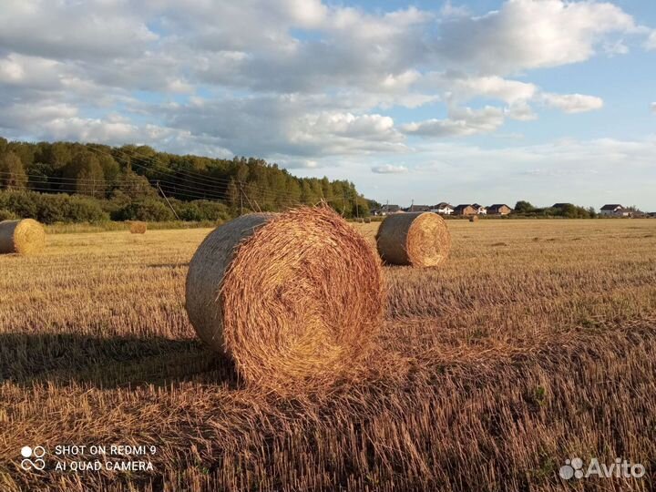 Сено в рулонах 2023