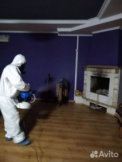 Уничтожение клопов, клещей, травля тараканов