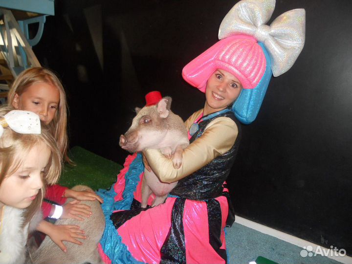 Аниматоры Пенное шоу Химия Бумага Фокусник Пузыри