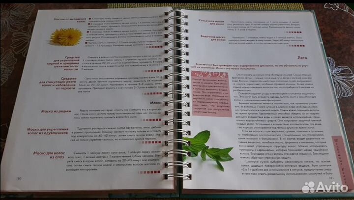 Книга Лучшие рецепты красоты