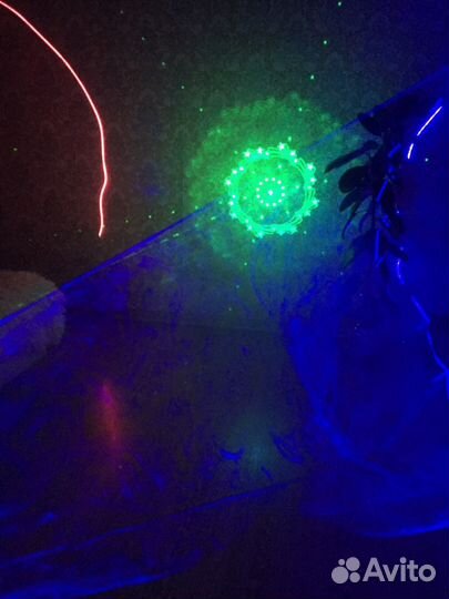 Световое оборудование дискотек