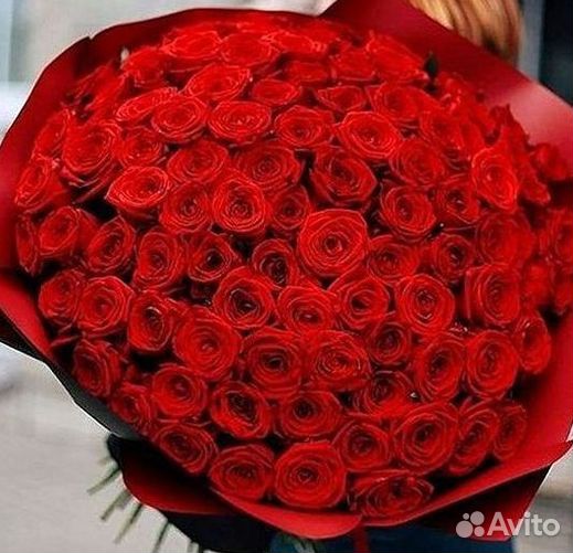 Букет роз 101 роза 51 роза