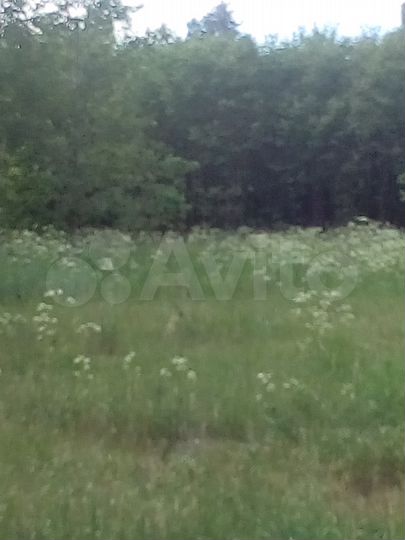 Участок 12 сот. (ИЖС)