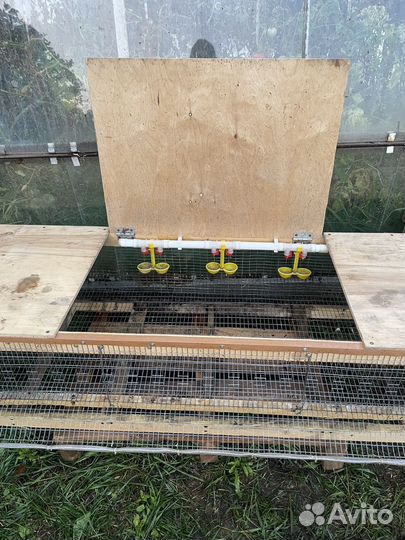 Клетка для перепелок