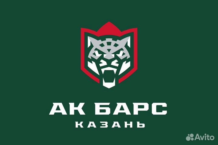 Билет Акбакс - Амур