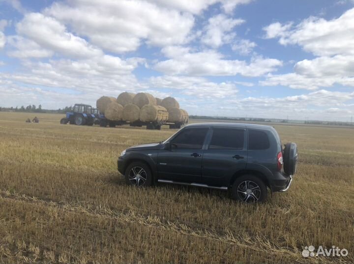 Сено Солома