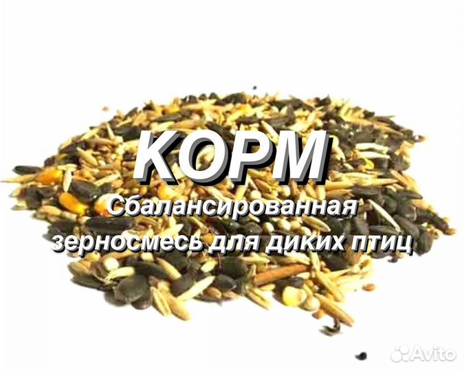 Корм в кормушку для диких птиц