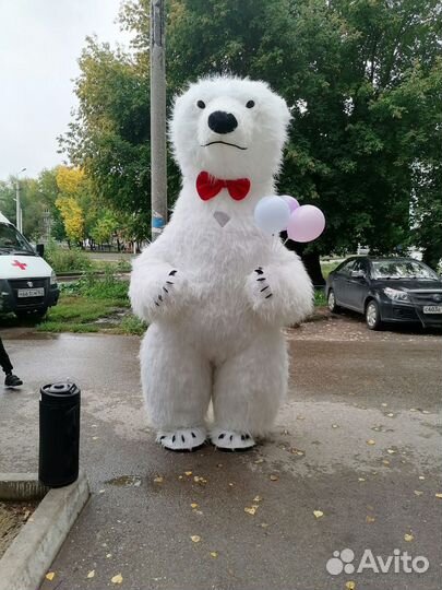 Белый мишка аниматоры