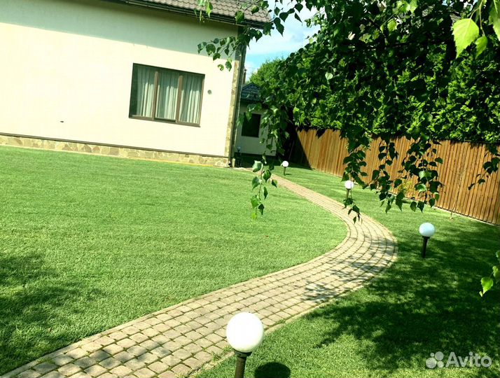 Рулонный газон