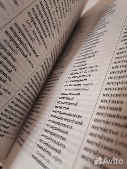 Англо русский словарь мюллер