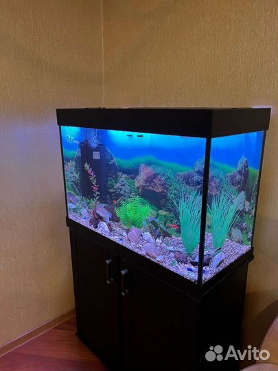 Аквариум с тумбой полный комплект