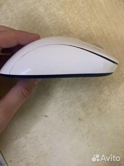 Мышька zowie ec 1 a