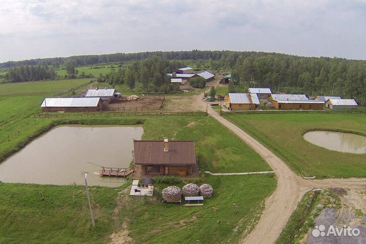 Доярка/дояр на ферму в Мышкинском районе