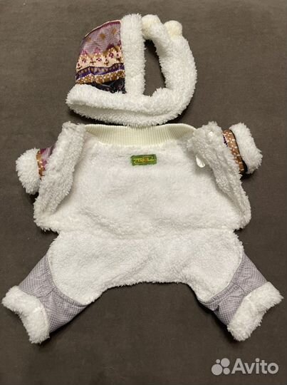 Одежда для собак