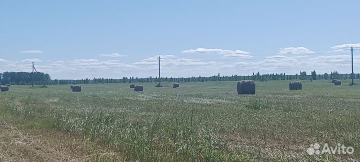 Сено в тюках