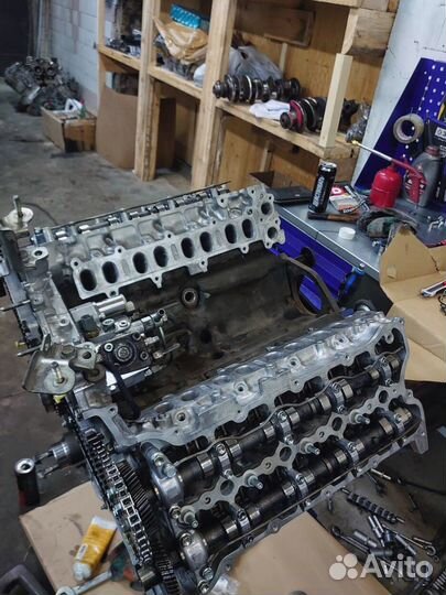 Двигатель 1vdftv / гарантия 50000км