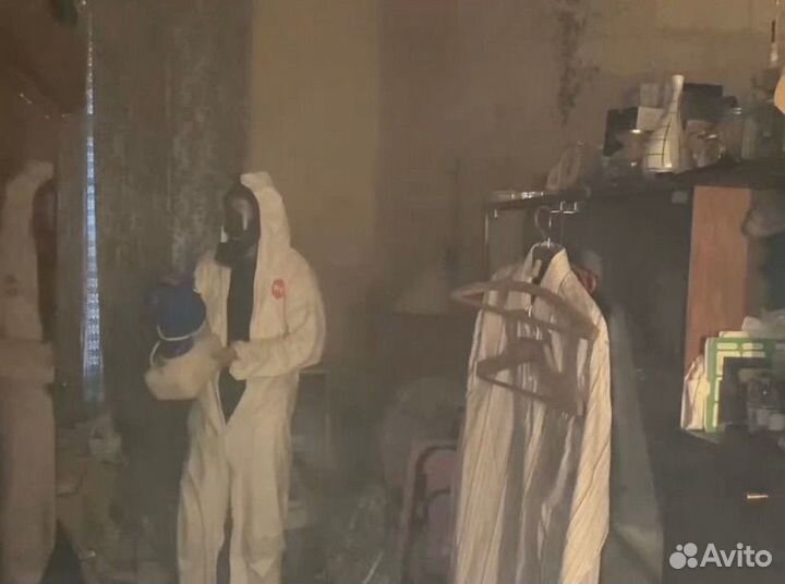 Обработка от тараканов