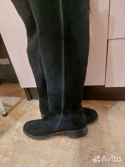 Сапоги женские