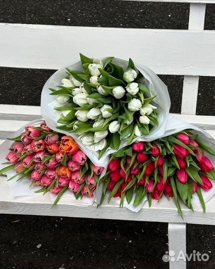 Тюльпаны/ 51, 101 тюльпан